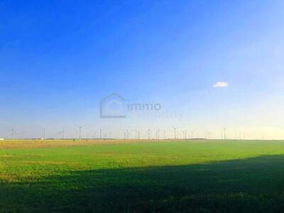 Gewerbeobjekt kaufen in 2424 Zurndorf