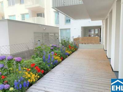 Terrassenwohnung mieten in 1160 Wien (Bild 1)