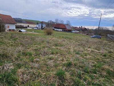 Grundstück kaufen in 4611 Buchkirchen (Bild 2)