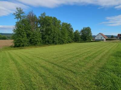 Grundstück kaufen in 8453 Sankt Johann