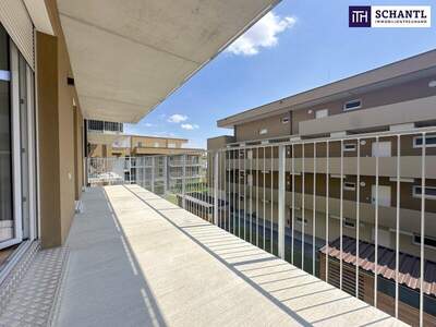 Terrassenwohnung kaufen in 8401 Kalsdorf (Bild 4)
