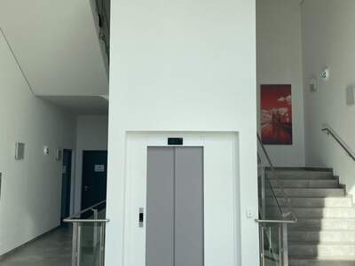 Gewerbeobjekt mieten in 2351 Wiener Neudorf (Bild 3)