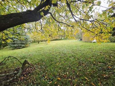 Einfamilienhaus kaufen in 2092 Riegersburg (Bild 5)