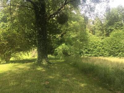 Grundstück kaufen in 8301 Laßnitzhöhe