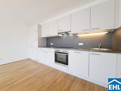 Terrassenwohnung mieten in 1230 Wien (Bild 4)