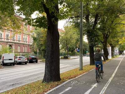 Wohnung provisionsfrei mieten in 8010 Graz