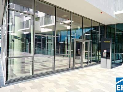 Terrassenwohnung mieten in 1100 Wien (Bild 5)