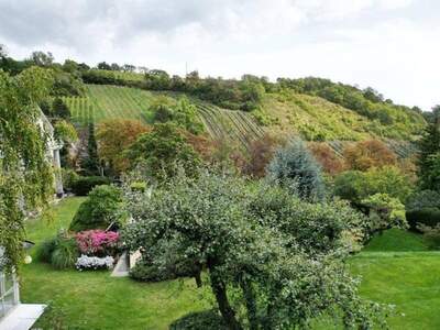 Grundstück kaufen in 1190 Wien