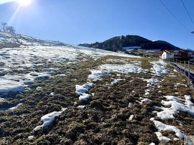 Grundstück kaufen in 6173 Oberperfuss