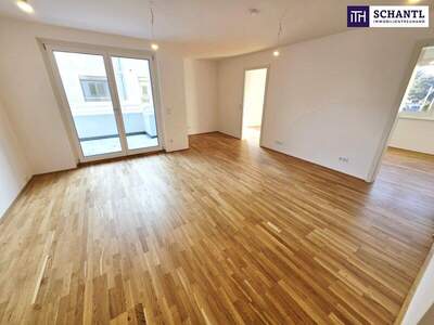 Terrassenwohnung kaufen in 1220 Wien (Bild 5)