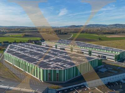 Gewerbeobjekt mieten in 4470 Enns