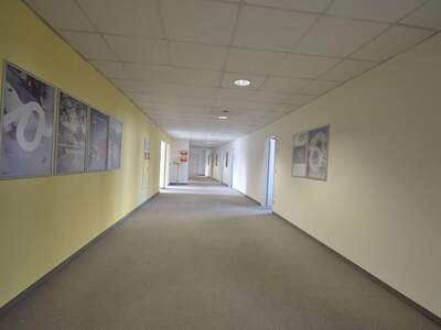 Gewerbeobjekt mieten in 4040 Linz (Bild 5)