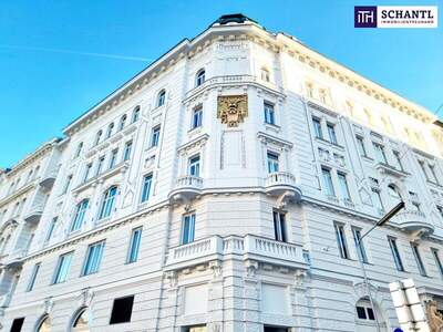 Wohnung mieten in 1040 Wien (Bild 4)