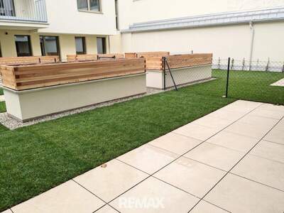 Terrassenwohnung mieten in 1230 Wien (Bild 2)