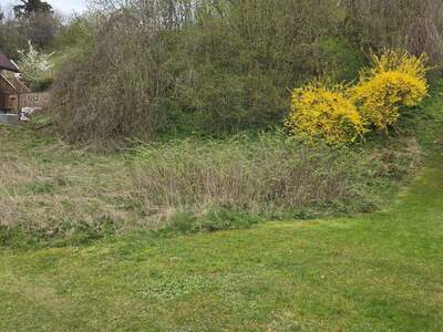 Plot / Land provisionsfrei kaufen in 3363 Hausmening