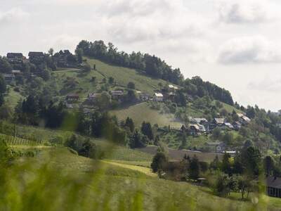 Haus kaufen in 8551 Wies (Bild 4)