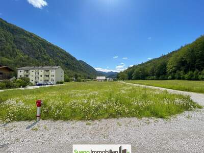 Grundstück kaufen in 4645 Grünau (Bild 3)