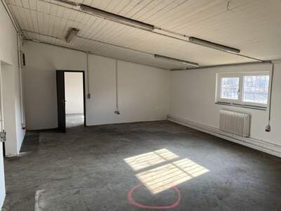 Gewerbeobjekt mieten in 4221 Steyregg (Bild 3)