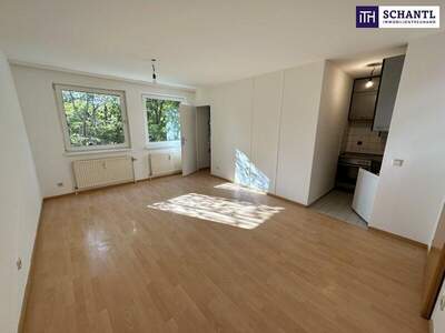 Wohnung kaufen in 1100 Wien (Bild 1)