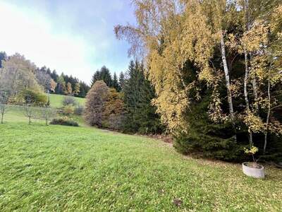 Grundstück kaufen in 8162 Passail (Bild 2)