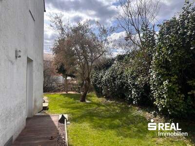 Terrassenwohnung kaufen in 4203 Altenberg (Bild 3)