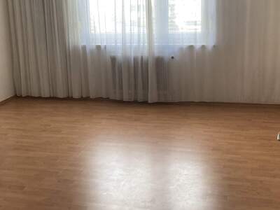 Apartment provisionsfrei kaufen in 1100 Wien