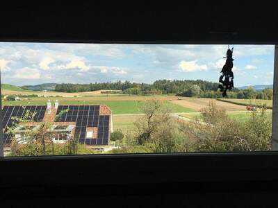 Haus mit Garten kaufen in 8523 Hagenbuch (Bild 2)