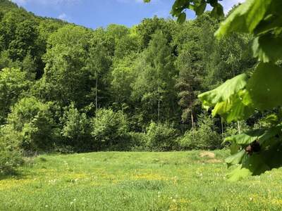 Grundstück kaufen in 8051 Graz (Bild 2)