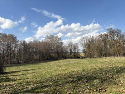 Grundstück kaufen in 4942 Gurten