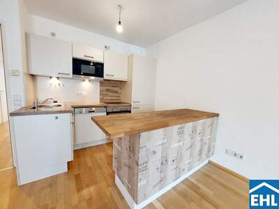 Terrassenwohnung mieten in 1050 Wien (Bild 4)