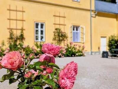 Mietwohnung in 4820 Bad Ischl