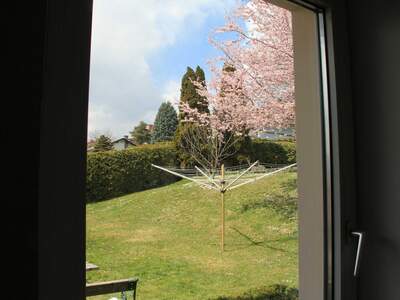 Wohnung mieten in 8753 Fohnsdorf (Bild 5)