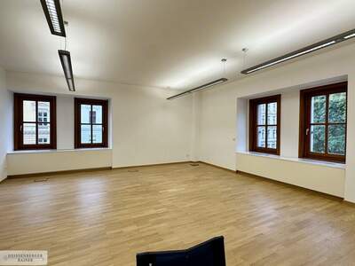 Gewerbeobjekt mieten in 1010 Wien (Bild 4)