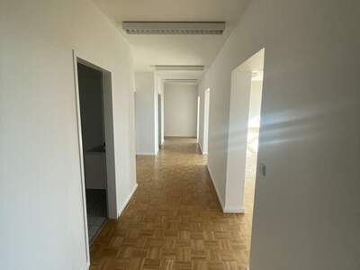 Gewerbeobjekt mieten in 1230 Wien (Bild 5)