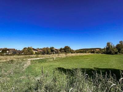 Grundstück kaufen in 4971 Aurolzmünster