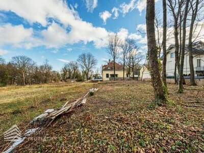 Grundstück kaufen in 1190 Wien