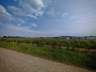 Gewerbeobjekt mieten in 3495 Rohrendorf