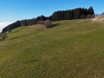 Grundstück kaufen in 3353 Seitenstetten Dorf (Bild 2)