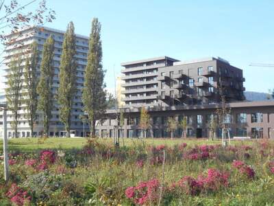 Wohnung mieten in 8020 Graz