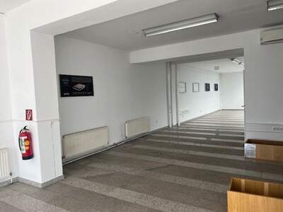 Gewerbeobjekt mieten in 4600 Wels (Bild 2)