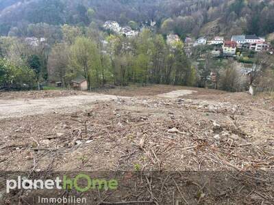 Grundstück kaufen in 2391 Kaltenleutgeben