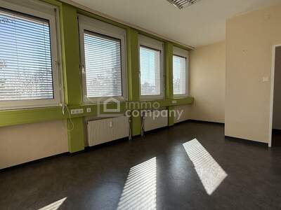 Gewerbeobjekt mieten in 2751 Steinabrückl (Bild 2)