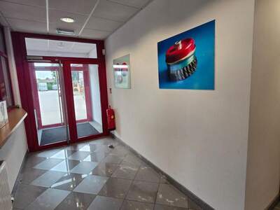 Gewerbeobjekt mieten in 3425 Langenlebarn (Bild 3)