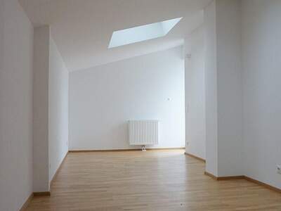Altbauwohnung mieten in 1060 Wien (Bild 5)
