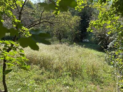 Haus kaufen in 1140 Wien (Bild 5)