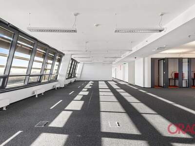 Gewerbeobjekt mieten in 1200 Wien (Bild 3)