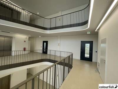 Gewerbeobjekt mieten in 1220 Wien (Bild 3)