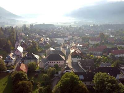 Wohnung mit Balkon kaufen in 9754 Steinfeld