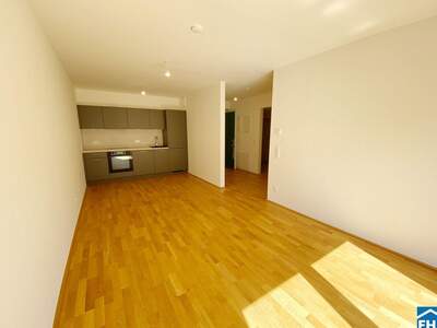 Apartment provisionsfrei mieten in 1110 Wien