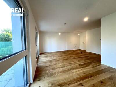 Terrassenwohnung kaufen in 2020 Hollabrunn (Bild 4)